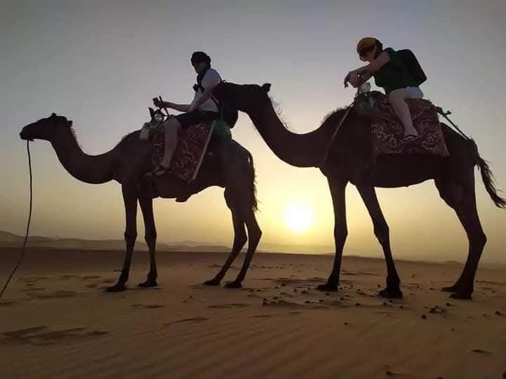 مخيم سفاري السياحي